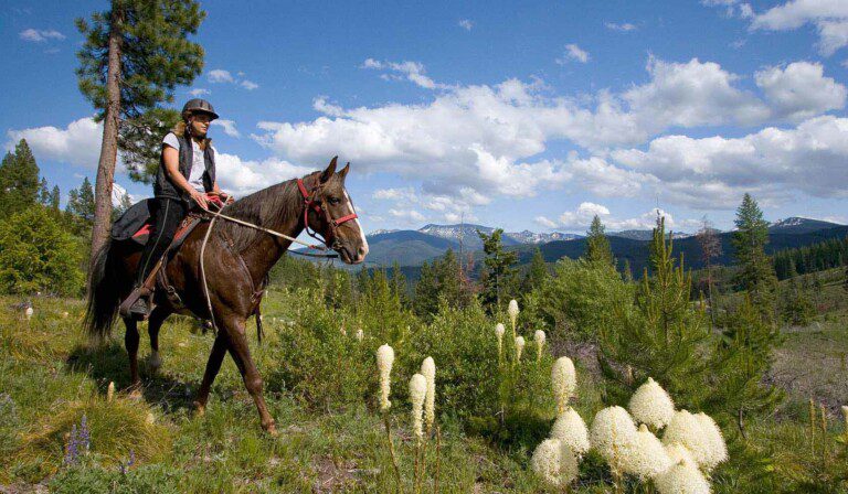 Horseback ride with Dunrovin Ranch